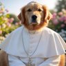 MrWoofers's profile picture