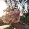 Фото профиля i stole cookies