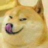 Profilbild von Bihari Paglu