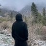 Ali Musaed's profile picture