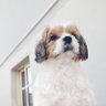 Charnay Wilbur's profile picture
