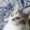 Фото профиля Axel Meleane