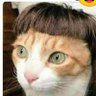MasburroNiko's profile picture