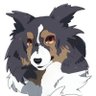 Profilbild von ちゃぼこ
