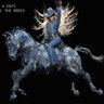 Profilbild von CowboyKIIng