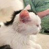 alan's profile picture