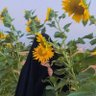 فـاطـمة الـقـريـشـي 🌸 profil fotoğrafı