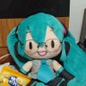 叢雨's profile picture