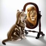Kügi profil fotoğrafı
