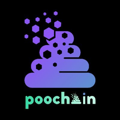 PooChain on Solana's profile picture