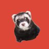 Profilbild von てんてん