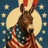 ActualDemocrats profil fotoğrafı