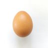 Profilbild von 🥚 e-GG🥚