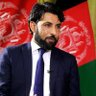 M-Afghan 🇦🇫's profile picture