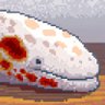 Profilbild von Infected.Whale