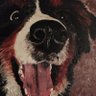 Drew D's profile picture