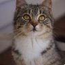 Tove Carter profil fotoğrafı