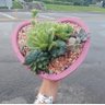 𝐆𝐚𝐫𝐝𝐞𝐧𝐢𝐚🌸 的头像