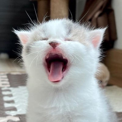 ɯ˙'s profile picture