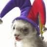 Profilbild von Nicky