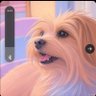 flashfish's profile picture