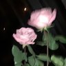 Фото профиля ☆ ·˚ ༘➛ ena