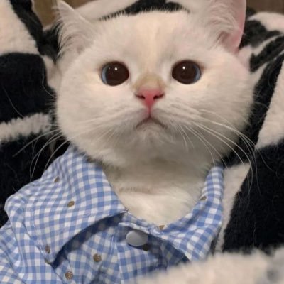 CREAMcdy's profile picture