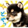 Profilbild von 方别