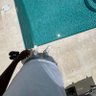 -https://tonio profil fotoğrafı