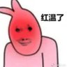 肉饼 的头像