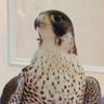 Profilbild von بدون اسم