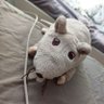Profilbild von Pej