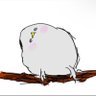 しゃりぱん profil fotoğrafı