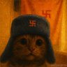 Profilbild von Mr K