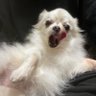 104's profile picture