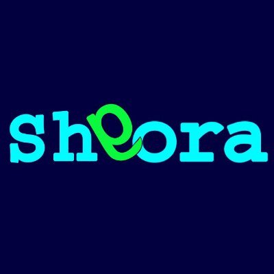 shgoracom's profile picture