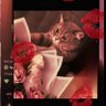 ᥫ᭡ profil fotoğrafı