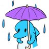 んーぱールーパー☔️🐬 的头像