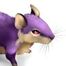 Фото профиля remy🐀
