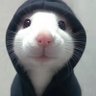 P0wder's profile picture
