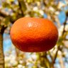 Master Metabolism's profile picture