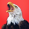 حً ـذِيّفُةّ آبّـنِ آلَيّمِآنِ profil fotoğrafı