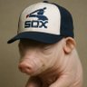 Profilbild von The Fetal Pig