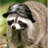 Profilbild von Reynhard_Jenkem