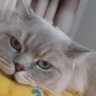 ceylin kırışık profil fotoğrafı