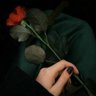 Profilbild von قُمًرةّ