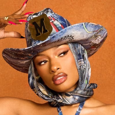 theestallion's profile picture