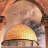 Profilbild von حماس قدوتى 🇵🇸