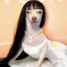 La lisa's profile picture