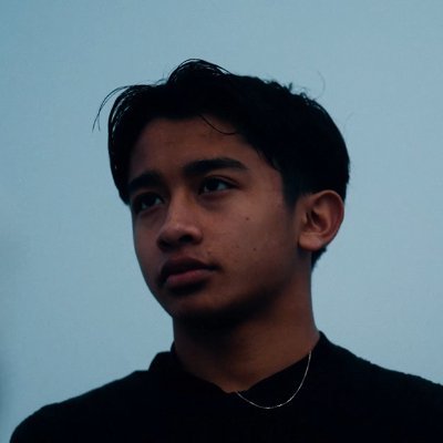Théo @ Pulsor's profile picture